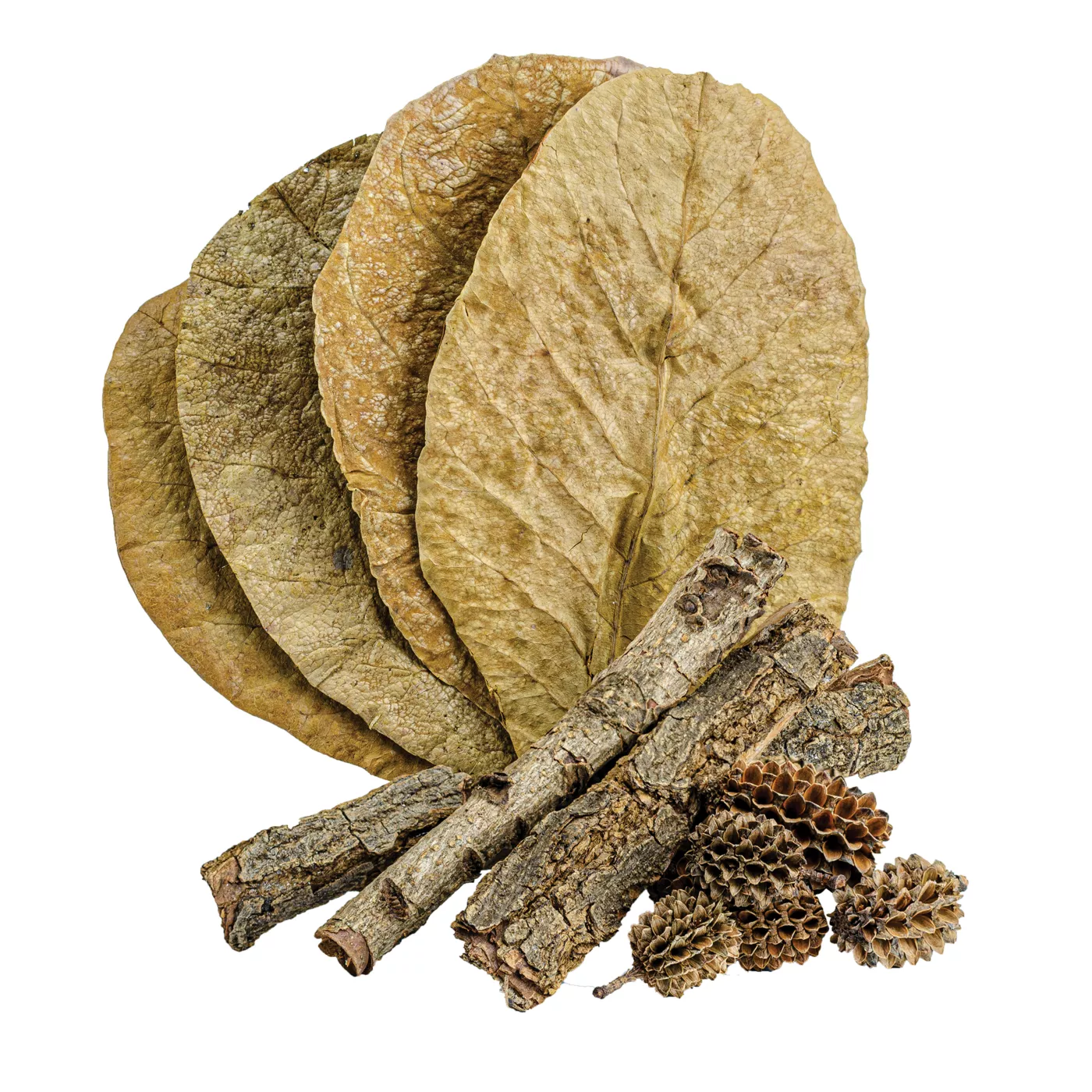 Fritz Aquatics Nature Box - Image 2